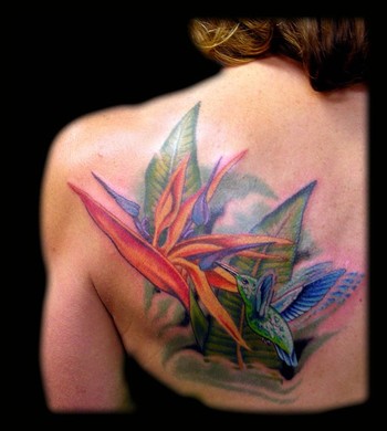 Looking for unique  Tattoos? Hummingbird and Bird of Paradise Flower